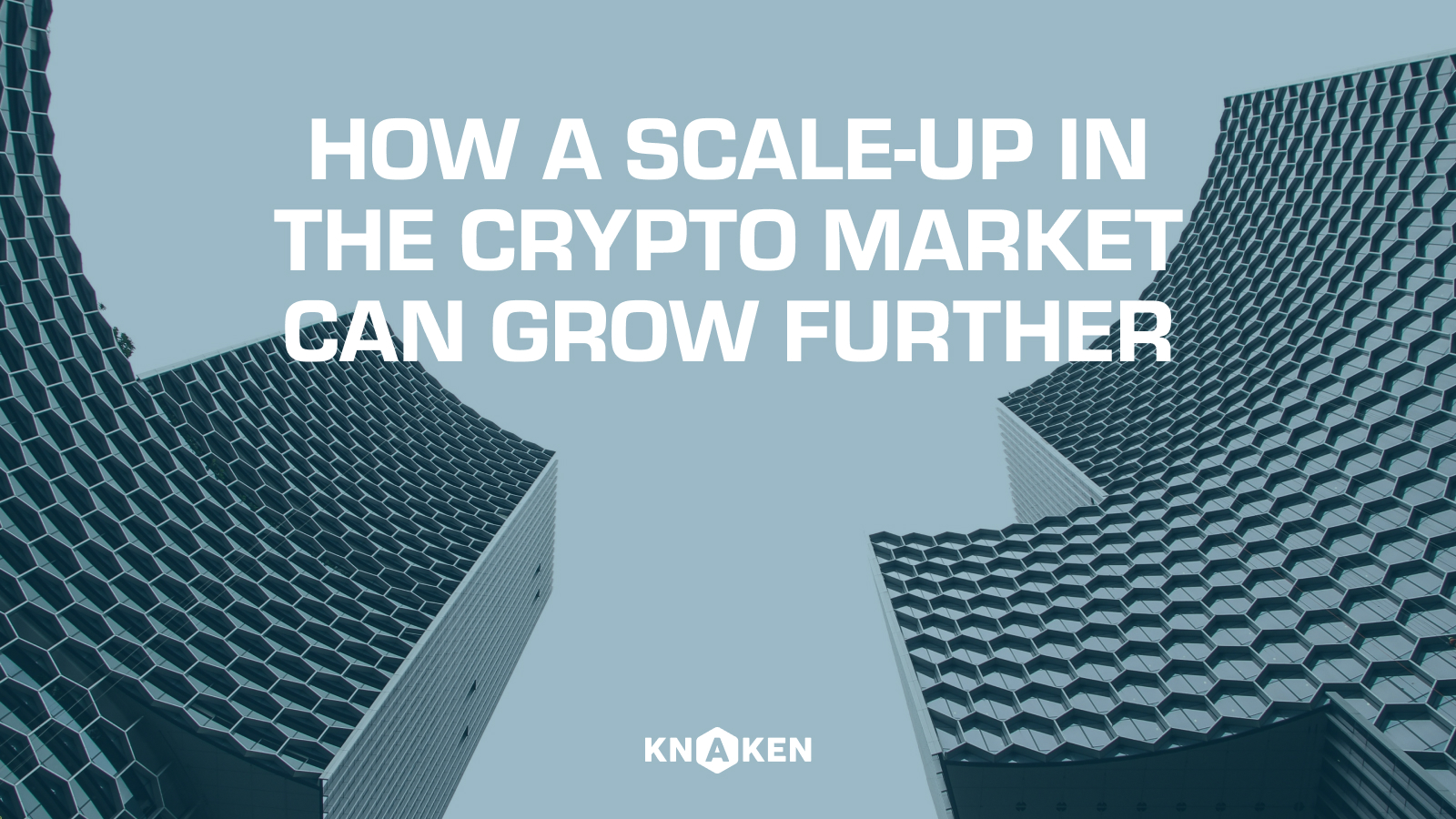 How a scale-up can continue to grow in the crypto market: Essential steps and strategies