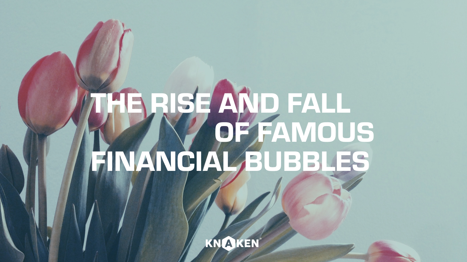 The rise and fall of famous financial bubbles.