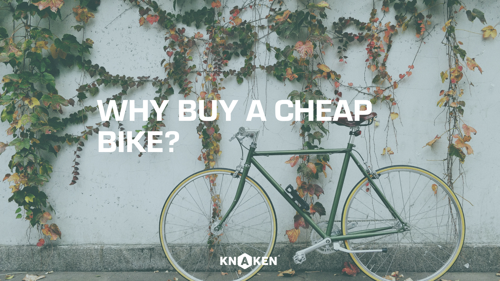 Why buy a cheap bike?