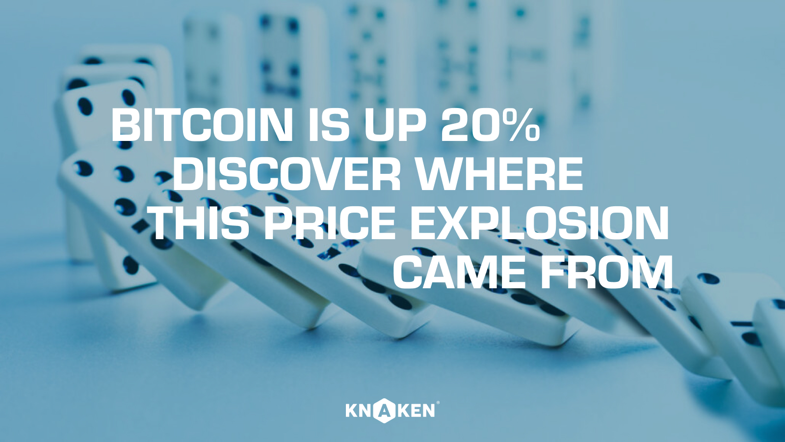 Bitcoin is 20% up! Discover where this price explosion came from