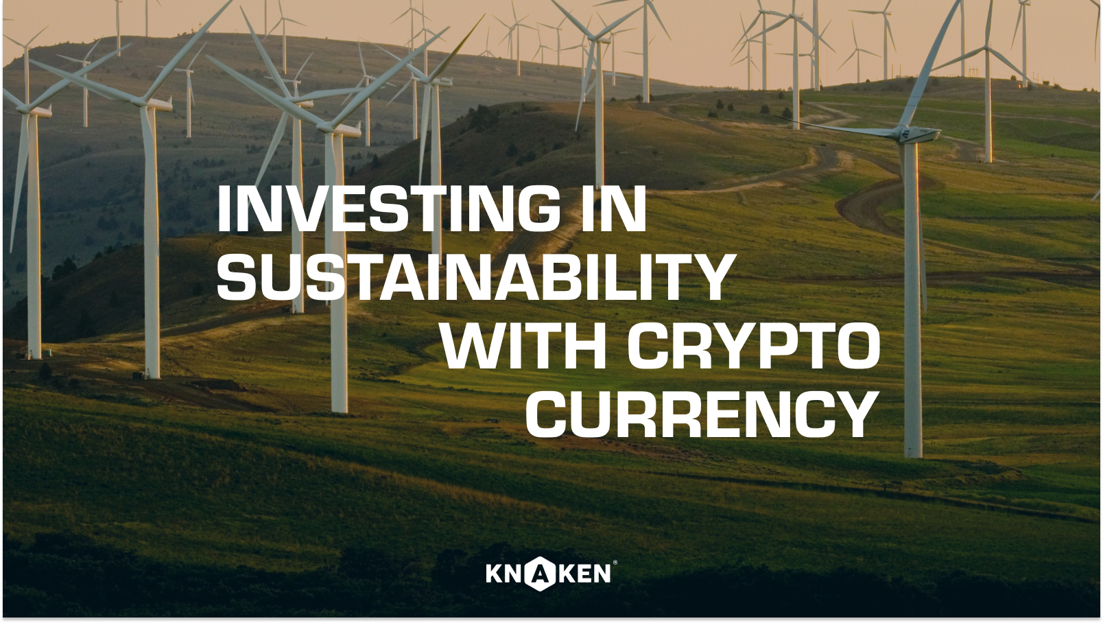 Investing in sustainability with crypto currency