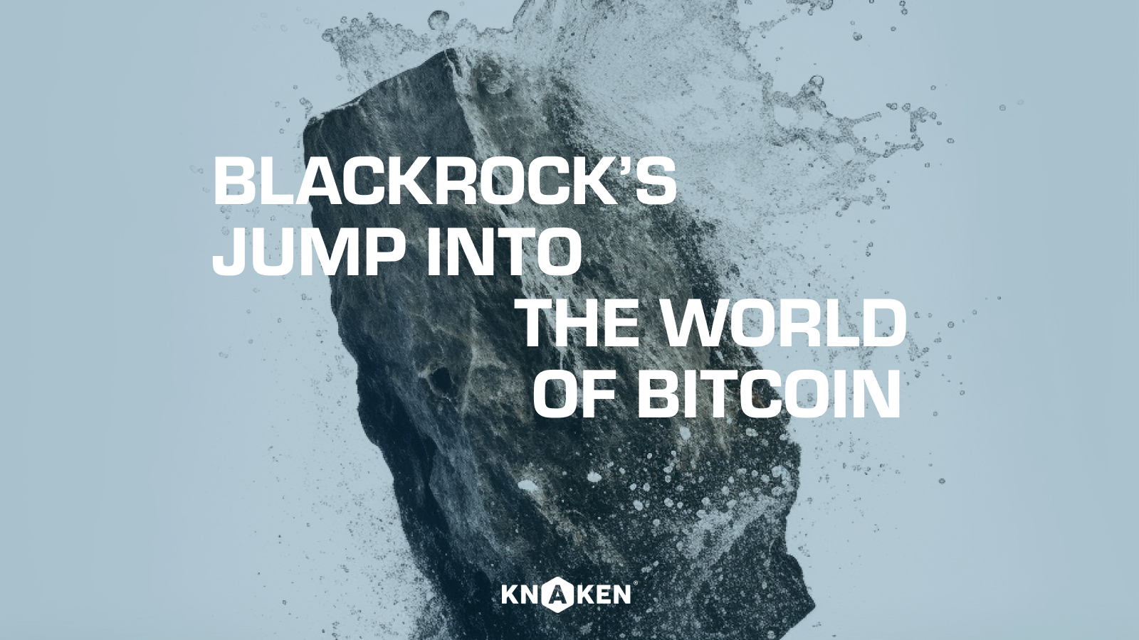 BlackRock’s jump into the World of Bitcoin: What Does It Mean for the Crypto Market?
